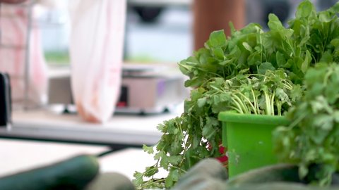 Closeup of cilantro and watercress as someone picks out a bunch to buy at an outdoor farmers market. 库存视频