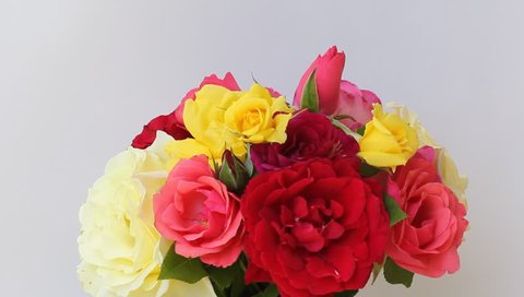 Bouquet multicolored roses Stock-video