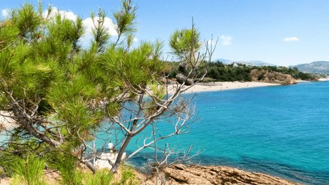 Panoramic view of natural beauty, turquoise color of seawater, beautiful and clean Aegean sea. Pine trees. Summer holiday vacation concept. Rocky shoreline.  : vidéo de stock