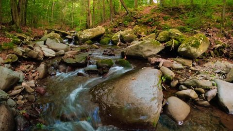 Beautiful woodland stream timelapse in the dense Appalachian forest during summerの動画素材