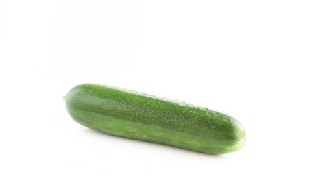 green fresh cucumber whole in white background rotating side shotの動画素材