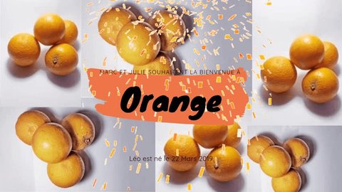 orange. Illustrated oranges placed in clusters. 库存视频