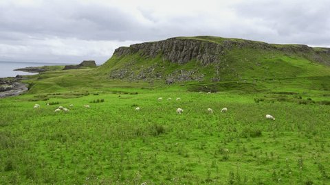Scottish breed sheep grazing quietly in the open countryside on the Isle of Skye, Scotland. Arkistovideo
