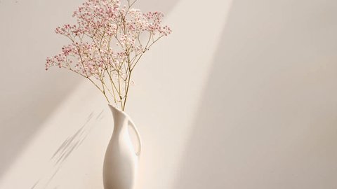 Light and shadows from from leaves of the gypsophila. Transparent soft light and shadow on wall. Space for text. Product presentation, mockup for advertising. 4k Vídeo Stock