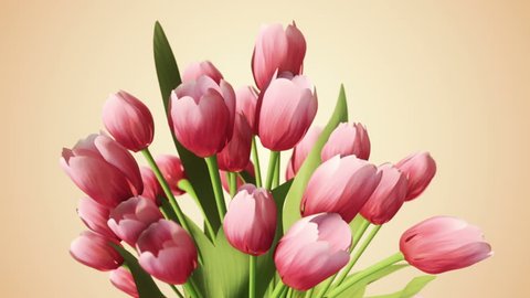 Animation rotation of realistic bouquet of flowers on clear and bright background. Animation of seamless loop. Stock-video