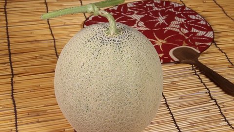 muskmelon and japanese fanの動画素材
