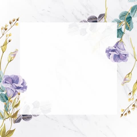 Floral frame animation with text placeholder or copy space. Botanical flower foliage background. Green screen alpha channel, 60fps. Suitable for online wedding invitations on social media. Sq13 Video de stock