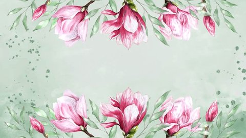 fresh magnolia flower moving animation botanical watercolor illustration floral design petals blooming spring tropical pink beautiful plant with eucalyptus leaves: film stockowy