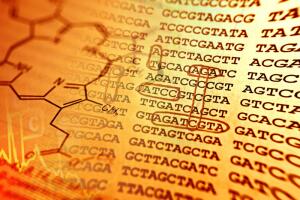 ДНК-анализ. Можно ли узнать свою историю? Результаты тестирования