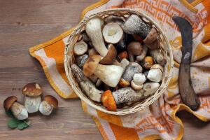 Какие полезные вещества содержатся в грибах?