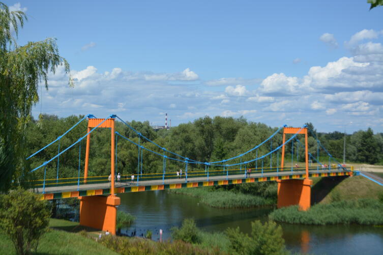 Пешеходный мост через реку Цна в Тамбове