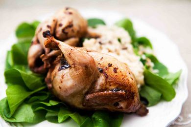 Roast Quail with Balsamic Reduction