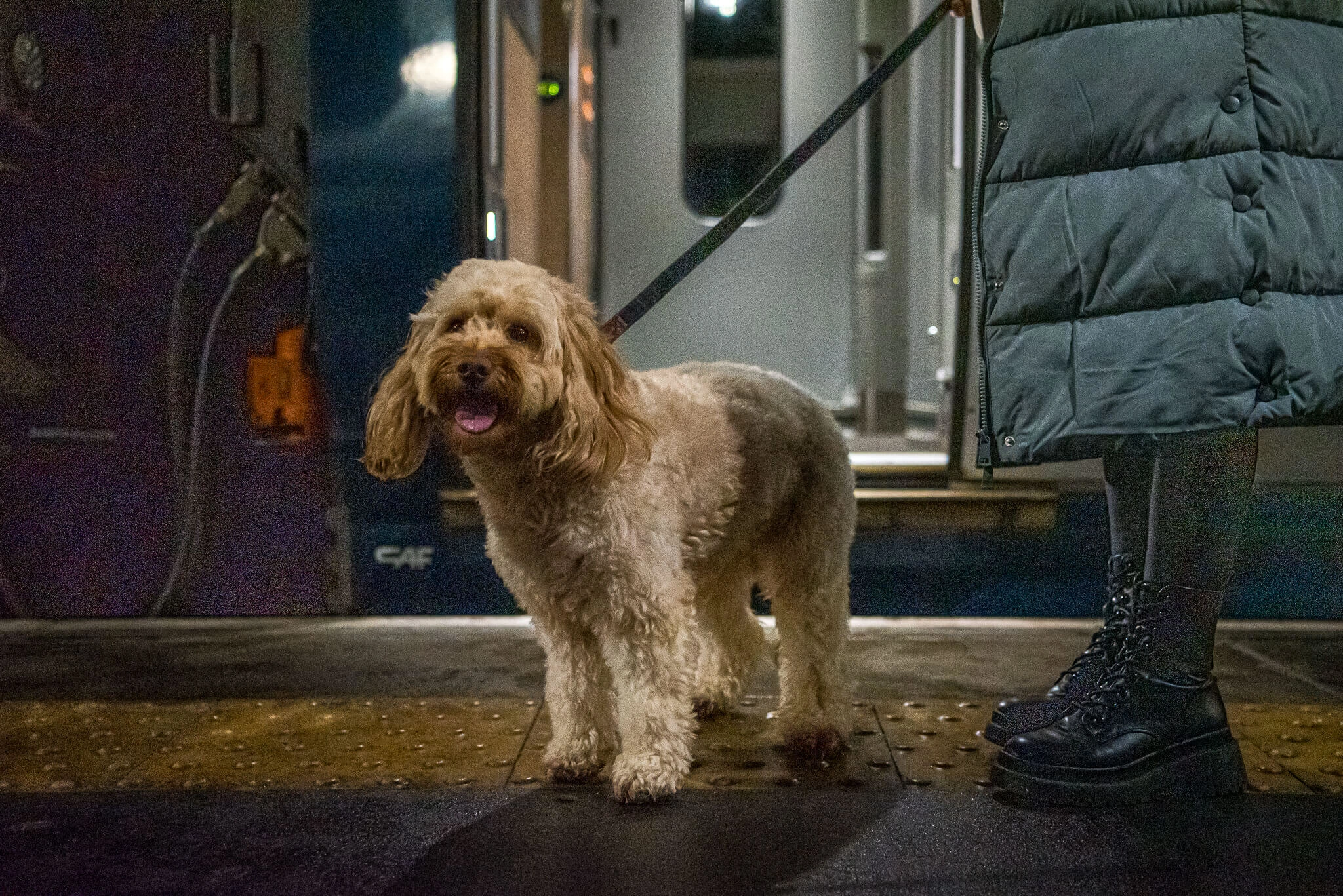 Woman with dog on platform next to Caledonian Sleeper