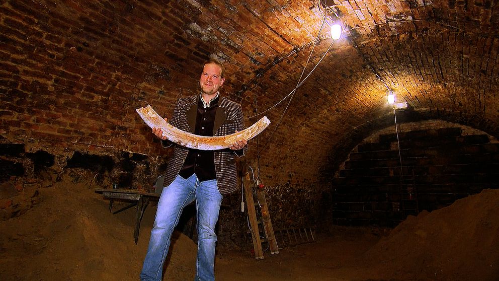 Flera tusenår gamla mammutben har hittats i en vinkällare i Österrike. Fyndet tros vara det största i sitt slag på över 100 år.