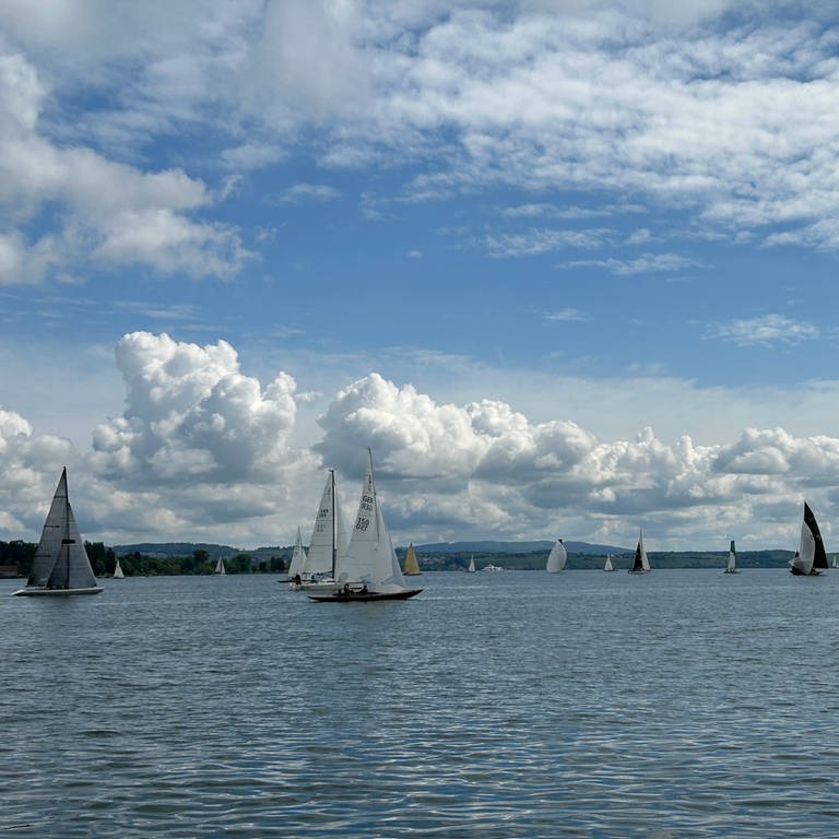 Oldtimer-Yachten und moderne Racer liefern sich vor Konstanz spannende Wettkämpfe.