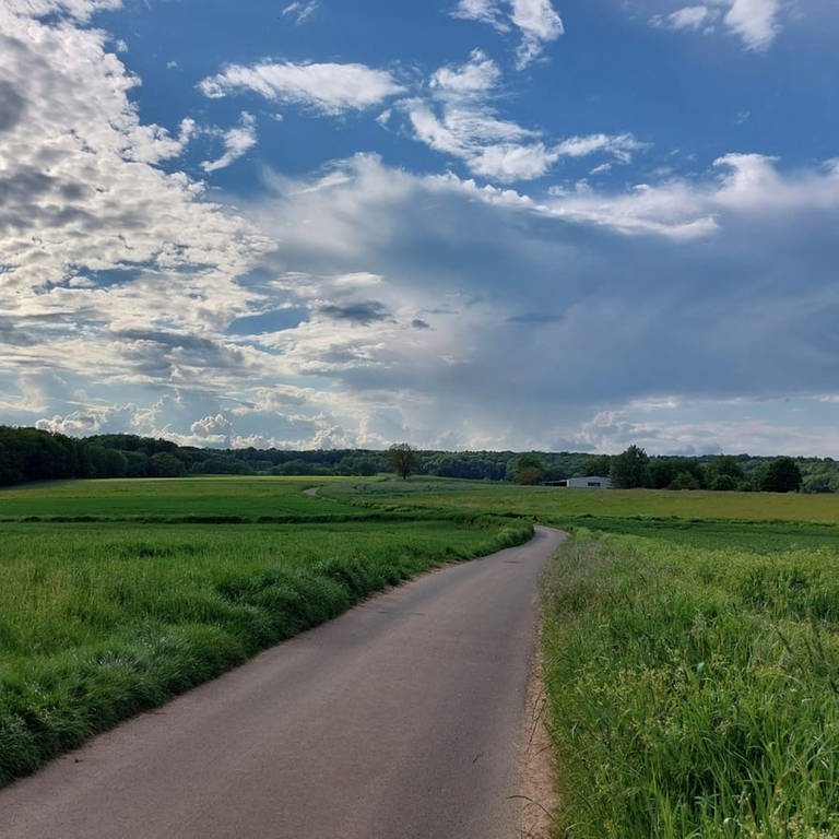 Ein Feld bei Otterberg im Kreis Kaiserslautern im Frühling bei Sonnenschein