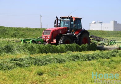 В Беларуси убрано почти 84% трав