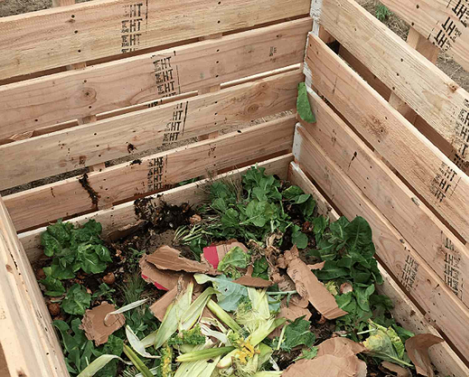 Wood Pallet Compost Bin