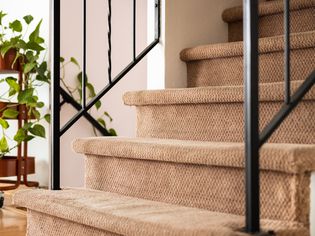 Brown carpeted stairs with black metal handrails next to plant cart closeup