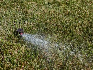 Lawn sprinkler spraying water on grass