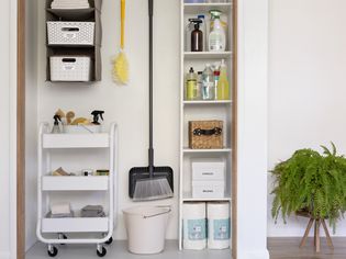 Cleaning supplies stored and organized along wall and with shelving