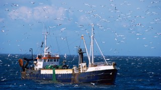 The Scottish Fishermen’s Federation says fishing is one of the lowest-carbon forms of food production