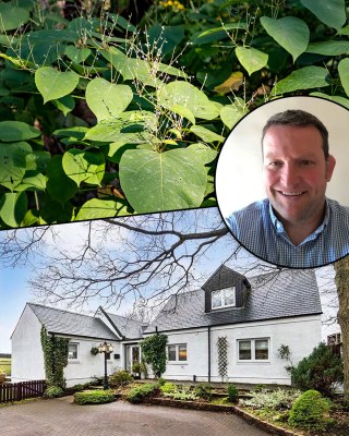Mark Blair, the previous co-owner of the house, accepted that he and Kim Blair had known Japanese knotweed was present on the property in Midlothian