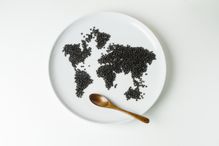 Beluga lentils on plate shaped like a world map with wooden spoon
