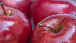 Wachsschicht bei Äpfeln – so entfernen Sie den Fettfilm 