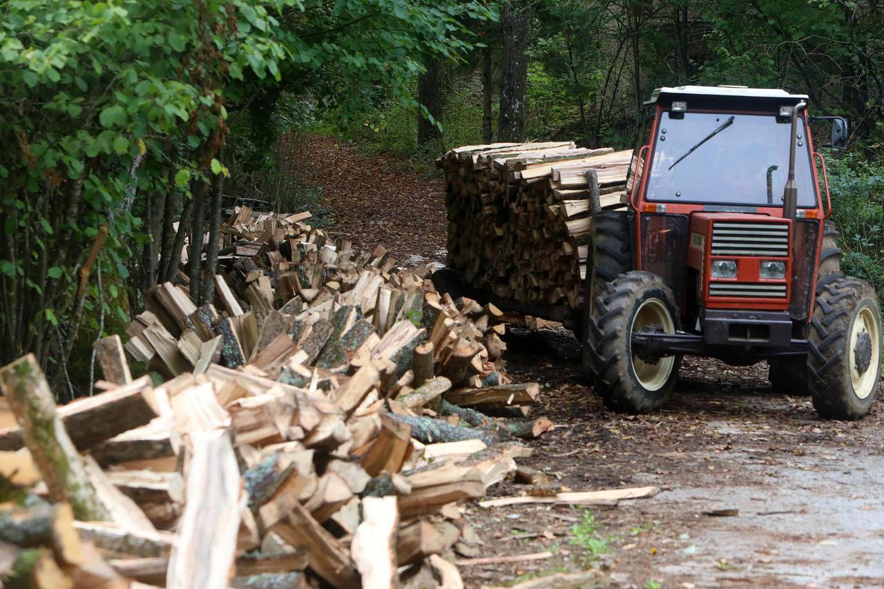 U šumama na području Slunja brojni građani pripremaju drva za ogrijev