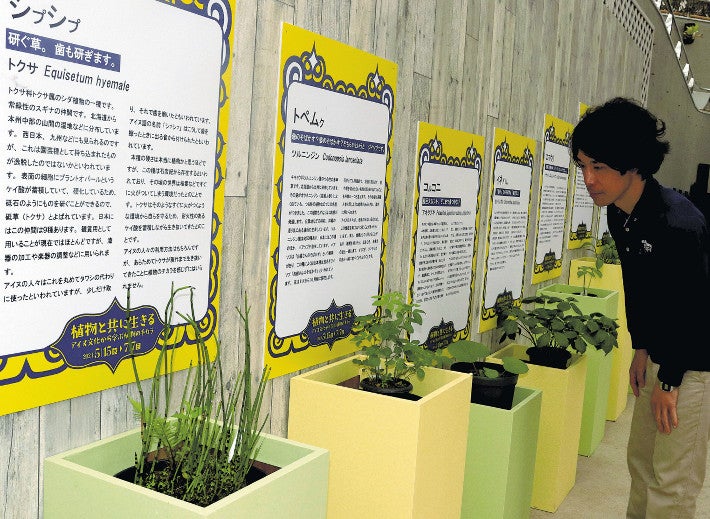 展示されているアイヌ民族と関わりのある植物（２０日、新潟市秋葉区で）