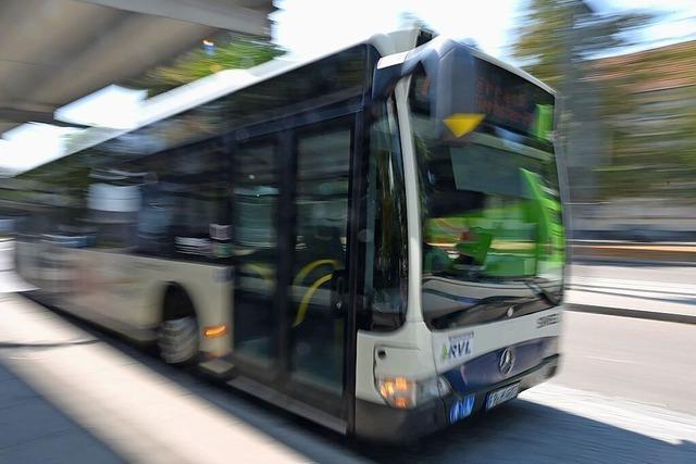 Lrrach und Weil am Rhein wollen Buslinien bndeln