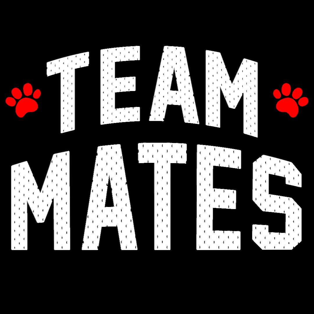 Teammates logo