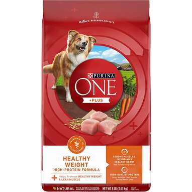 Best budget-friendly low-fat dog food: Purina ONE Weight Management Dog Food