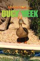 Duck Week cover art
