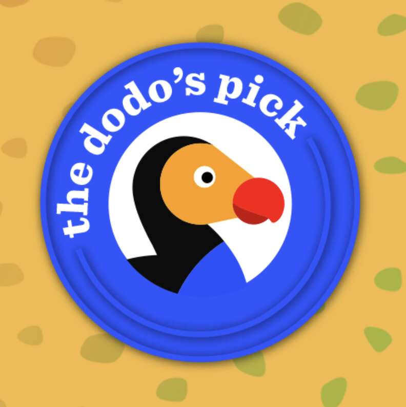What Do The Dodo’s Pick And Paw Of Approval Badges Mean