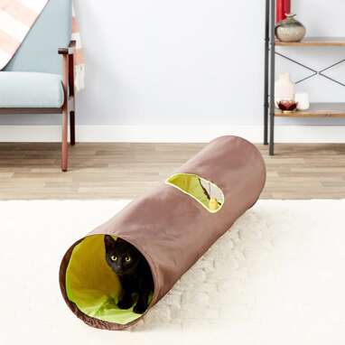 Best tunnel toy: HDP Collapsible Tunnel Toy