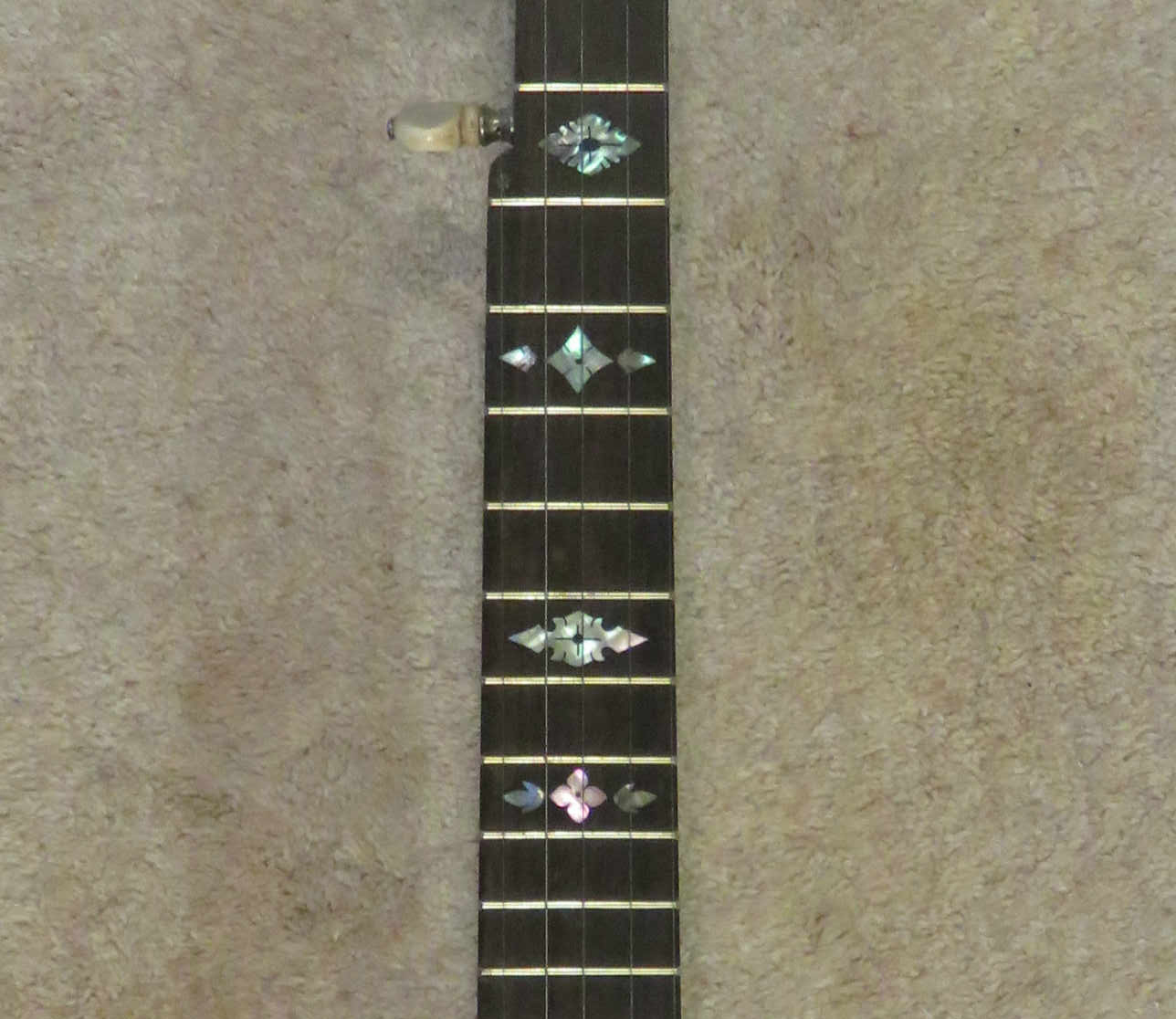 Fretted banjo neck