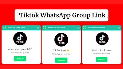 Tik Tok WhatsApp Group