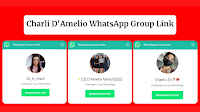 Charli D'Amelio WhatsApp Group Chat