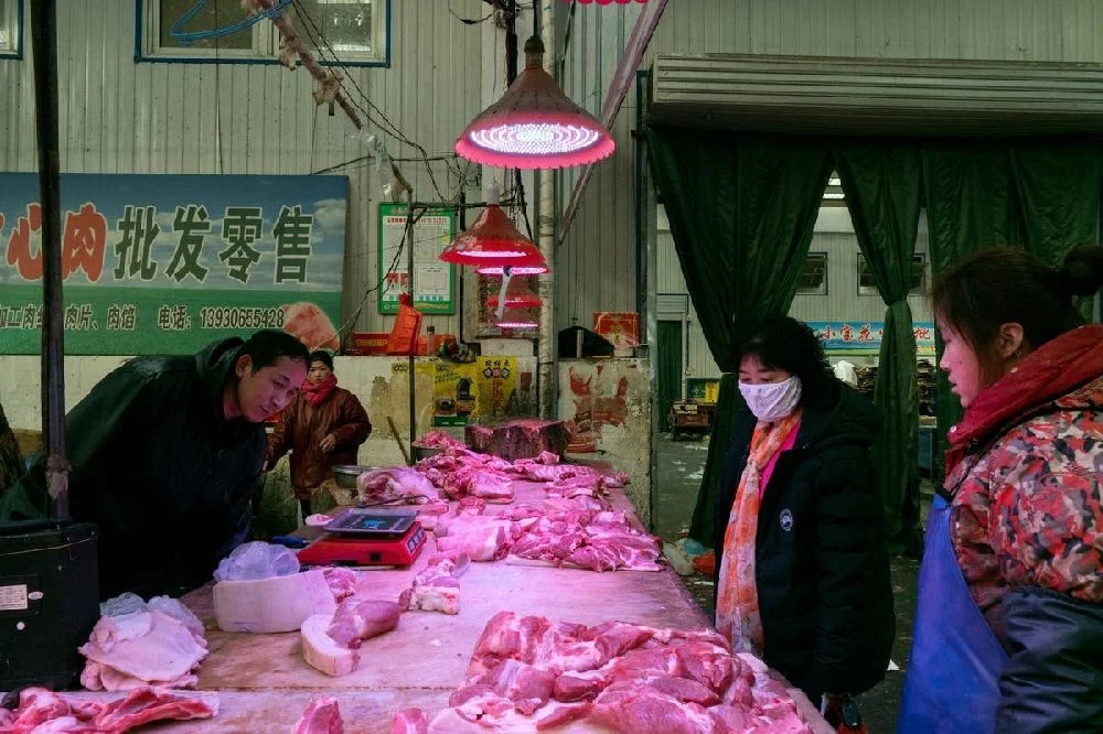 Dos nuevas investigaciones dicen que el coronavirus se extendió desde el mercado chino se carne de animales exóticos