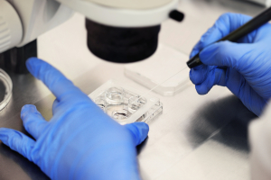 SBC passes IVF resolution urging Christian couples to consider adopting frozen embryos