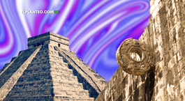 Scoperti gli allucinogeni che animavano i riti Maya a Yaxnohcah