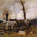 Пауль Фридрих Майерхайм - Коровы на пастбище