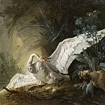 Водяной спаниель удивляет лебедя на гнезде, Жан-Батист Удри