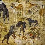 Studies of Dogs, Jan Brueghel The Elder