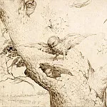 Hieronymus Bosch - The Owl s Nest