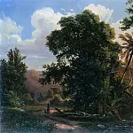 Лес в Сан-Эстебане