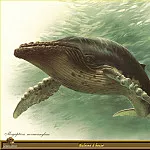 Карл Брендерс - Горбатый кит