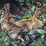 Карл Брендерс - Фиолетовые тропки и одичавшие американские кролики